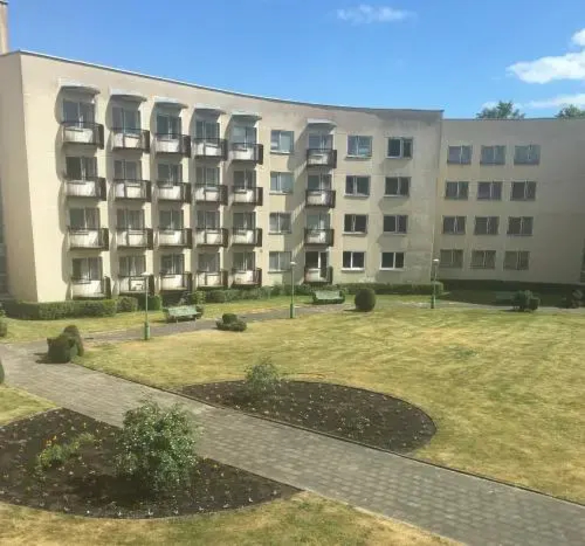 Vyturys