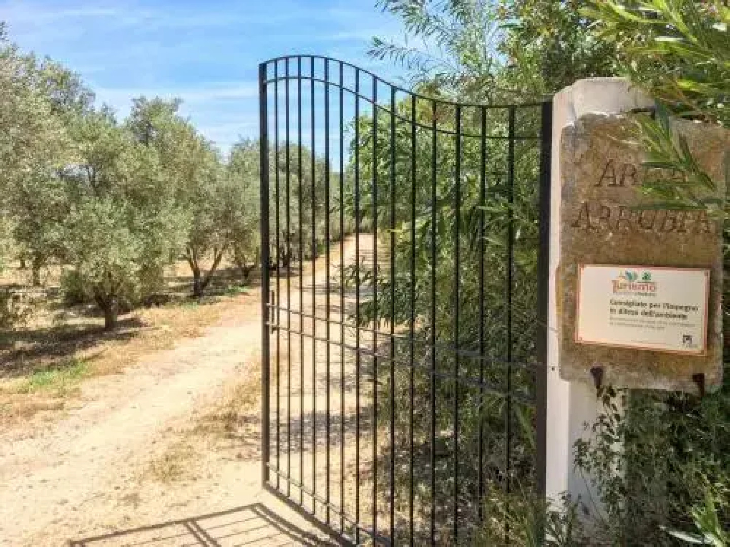 Abba Arrubia