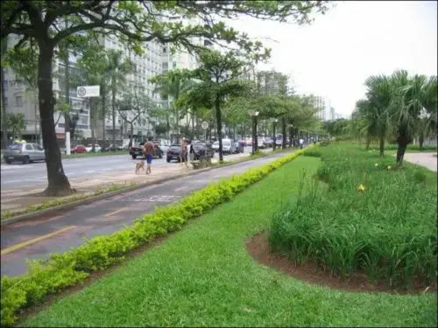 Apartamento Itapiranga