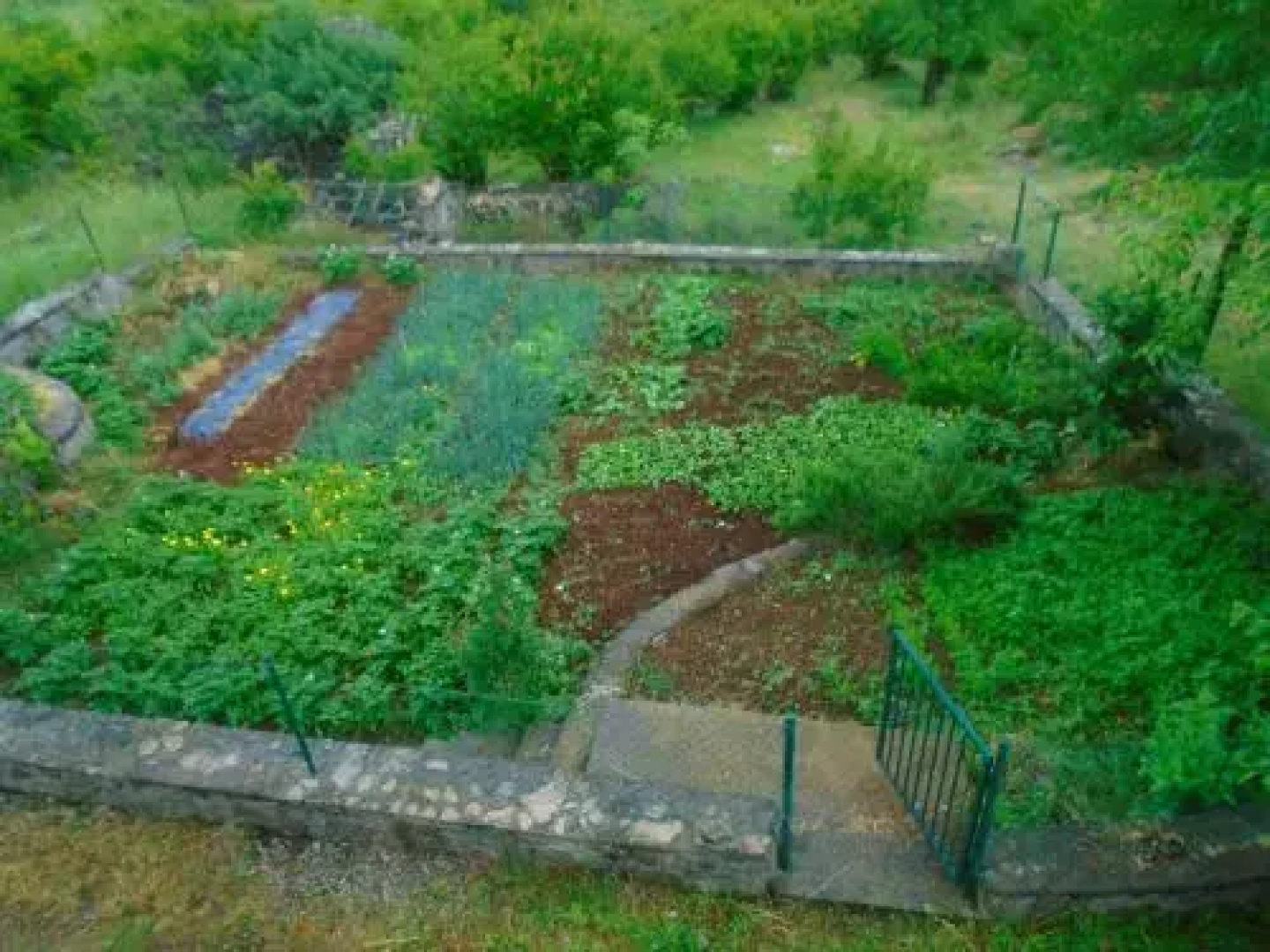 Selo Bridji House
