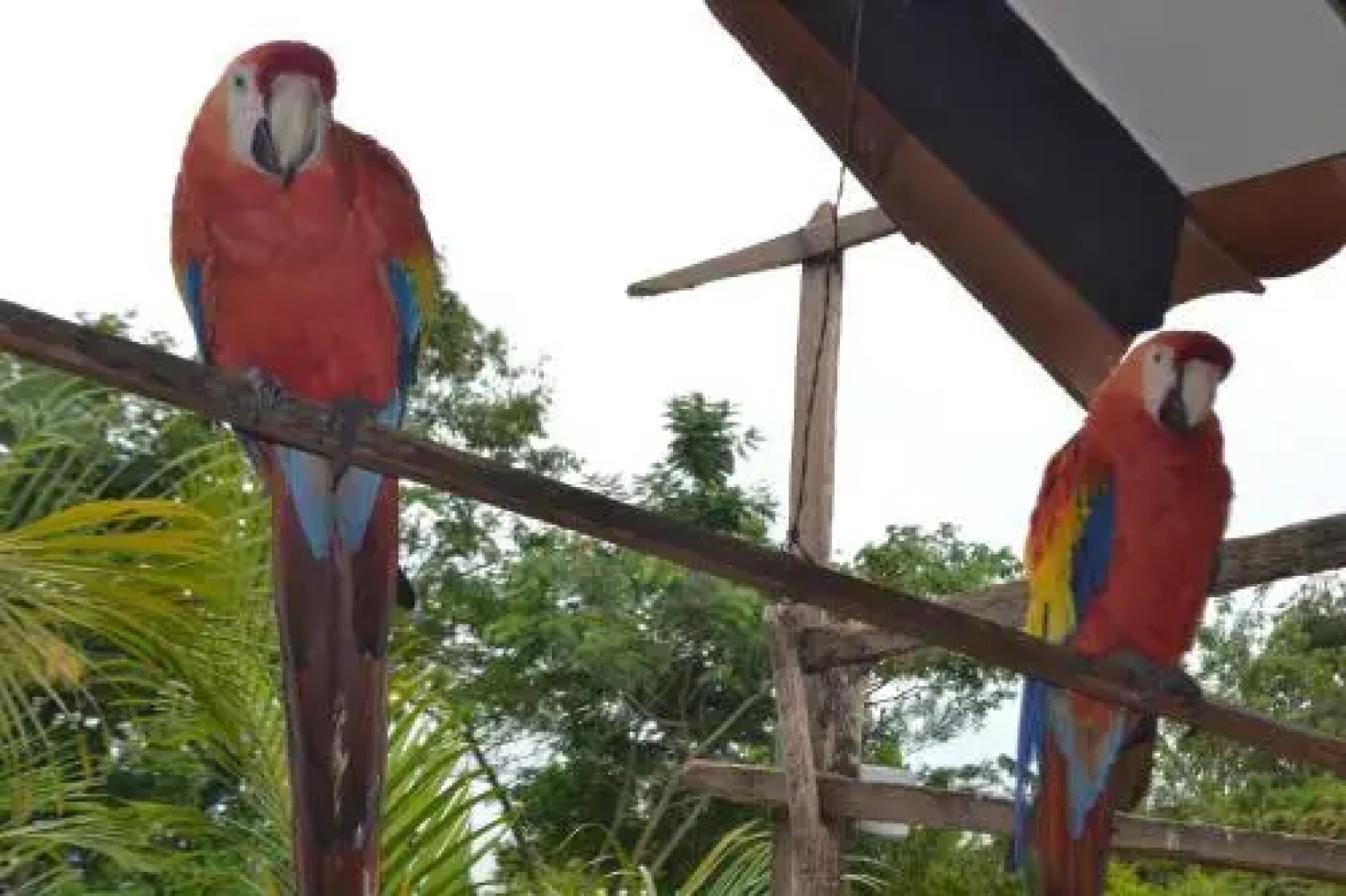 Finca El Remanso