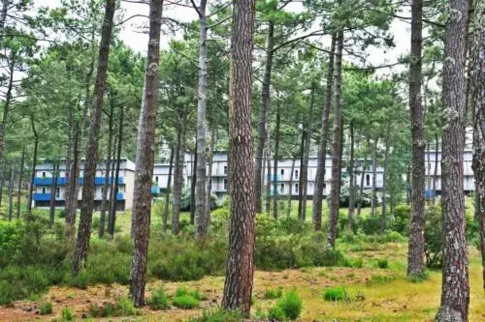 Village Vacances Les Dunes - Domaine de Bombannes