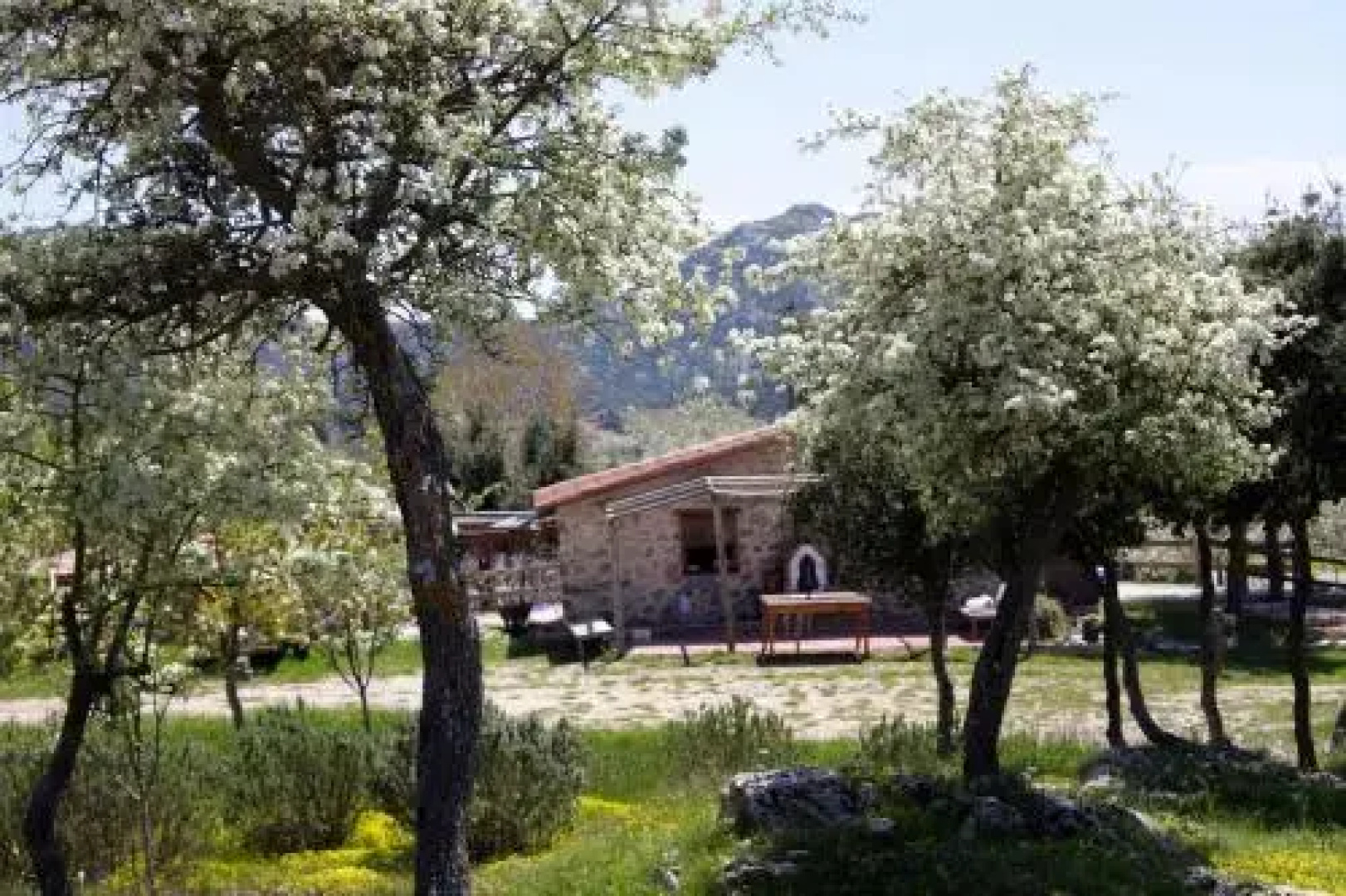 Blacktree Farm and Cottages