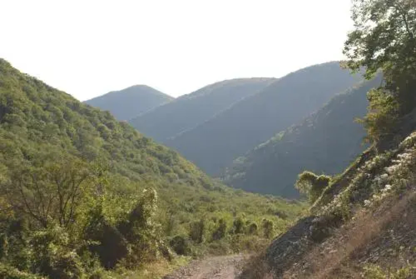 Гостевой Дом Панорама