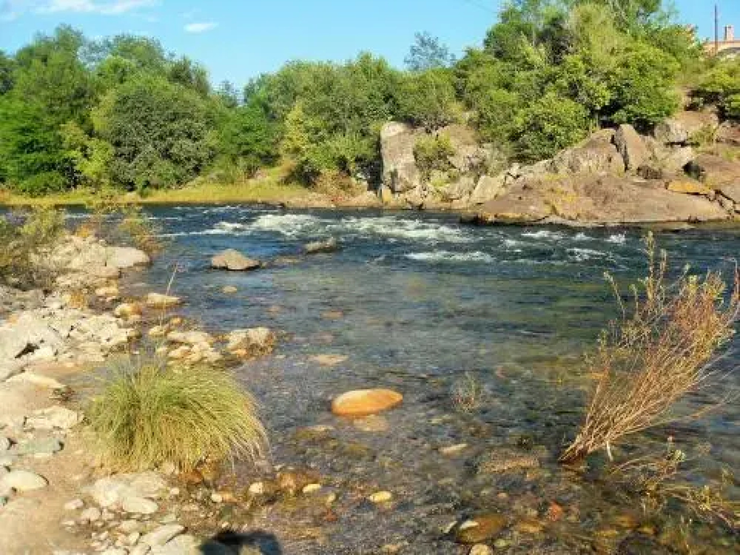 Miralrio