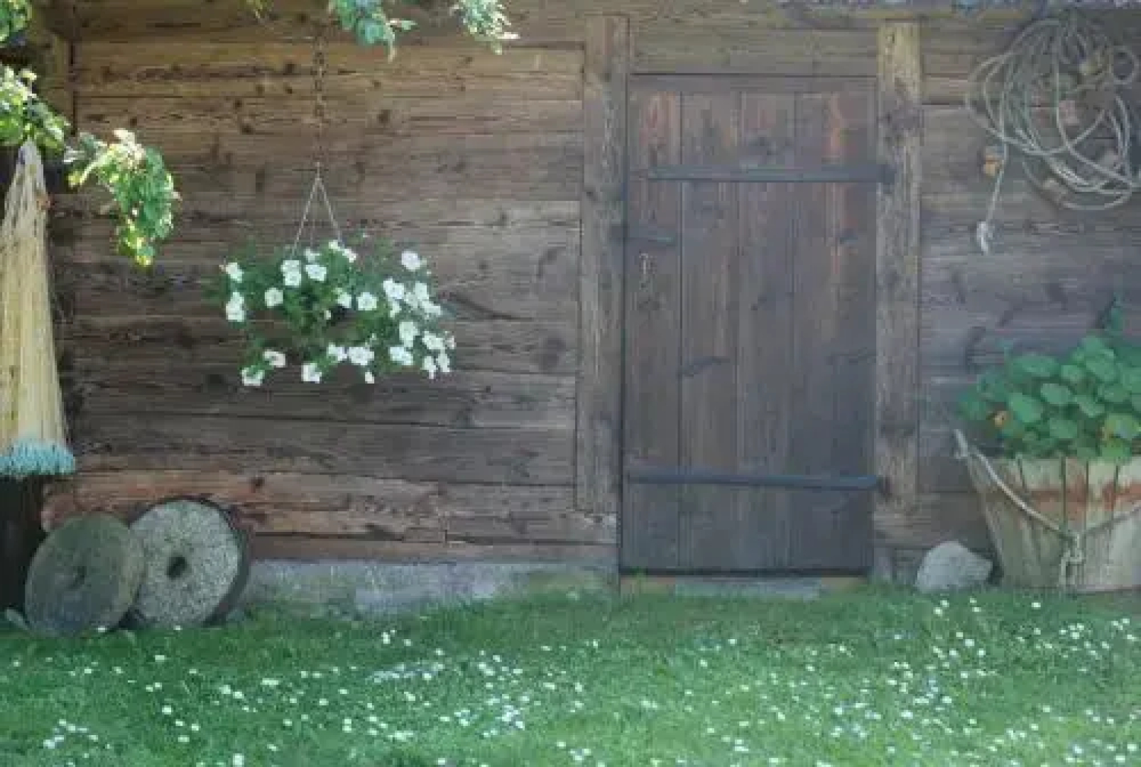 Hallikivi Tourist Farm