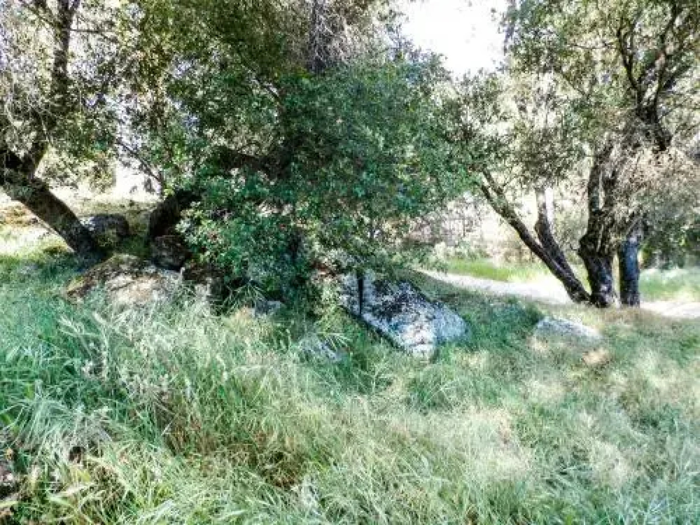 Charming Downstairs Unit