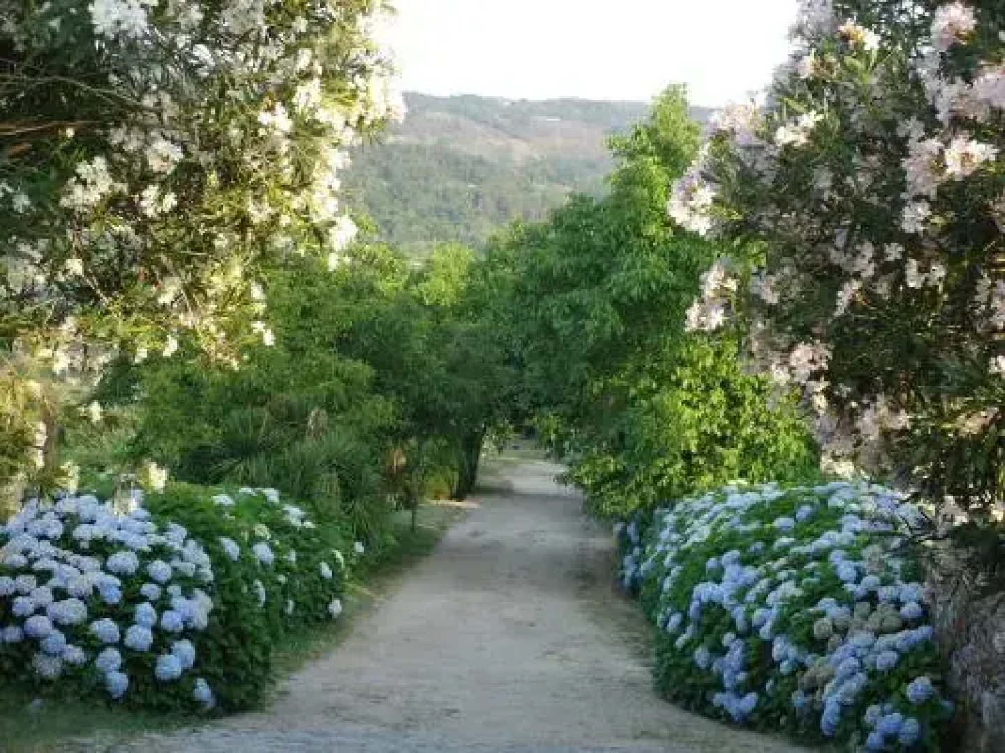 Quinta de Luou