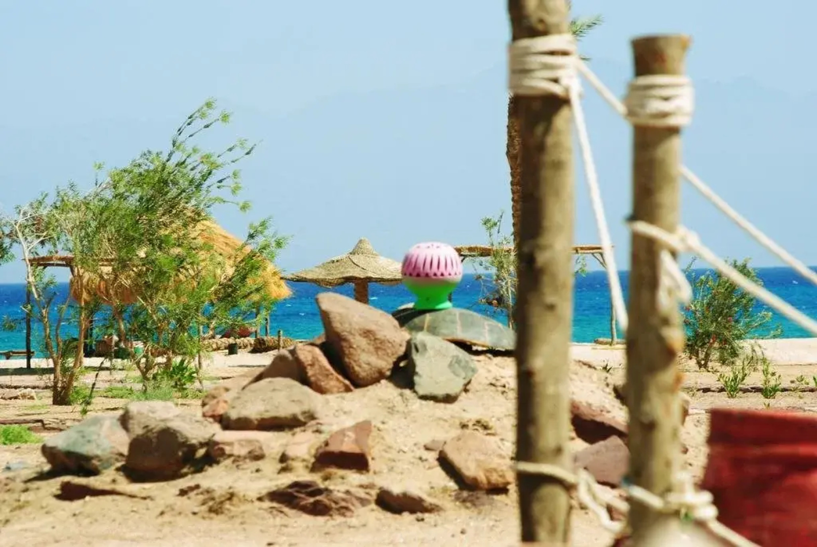Safari Beach Nuweiba