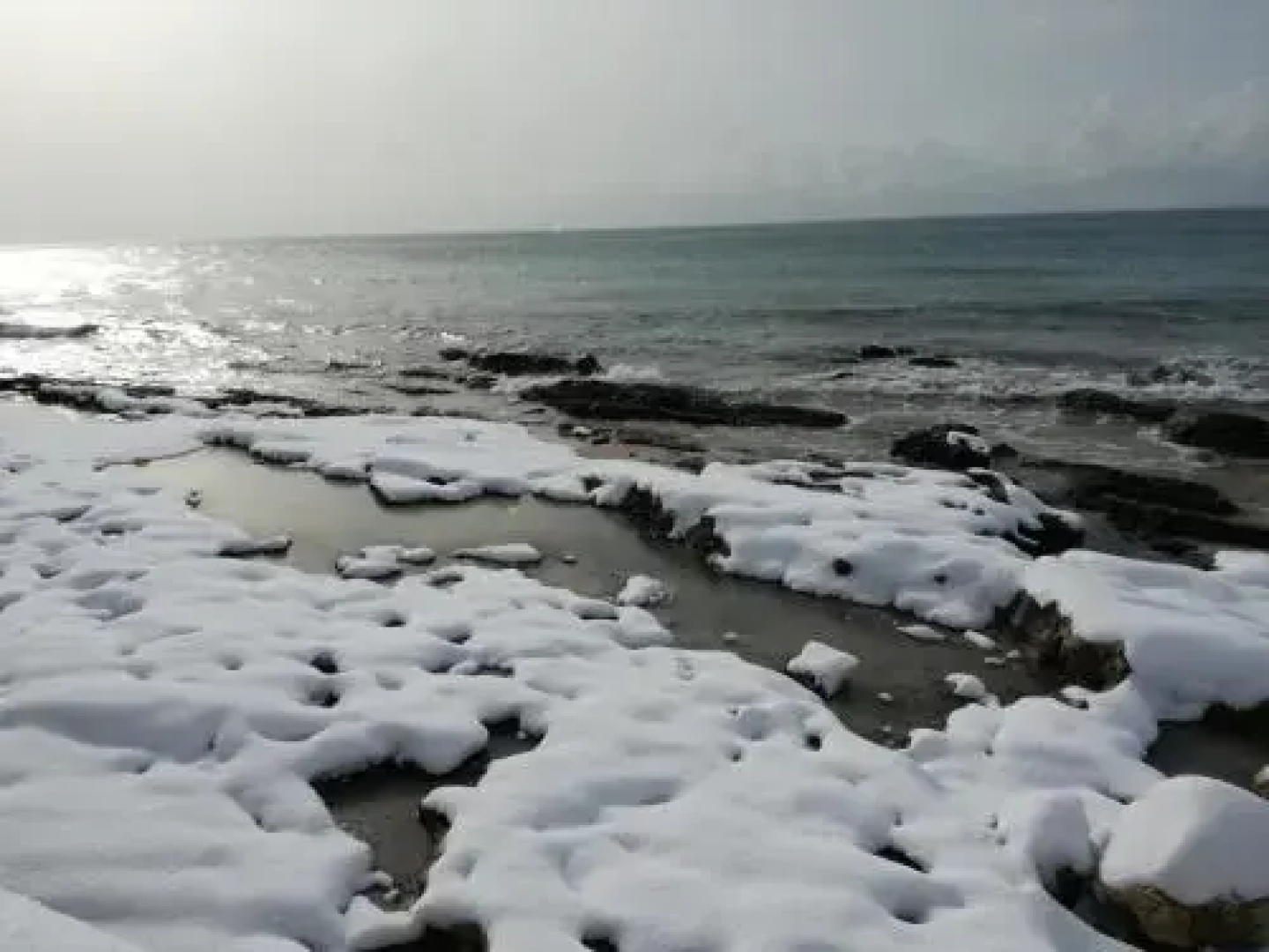 Bed and breakfast Delfino Blu