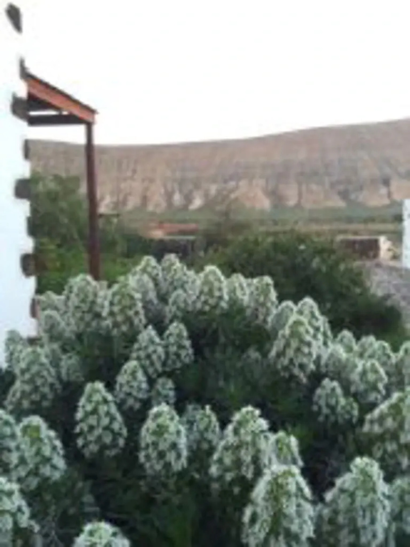Casa Rural Los Quintana