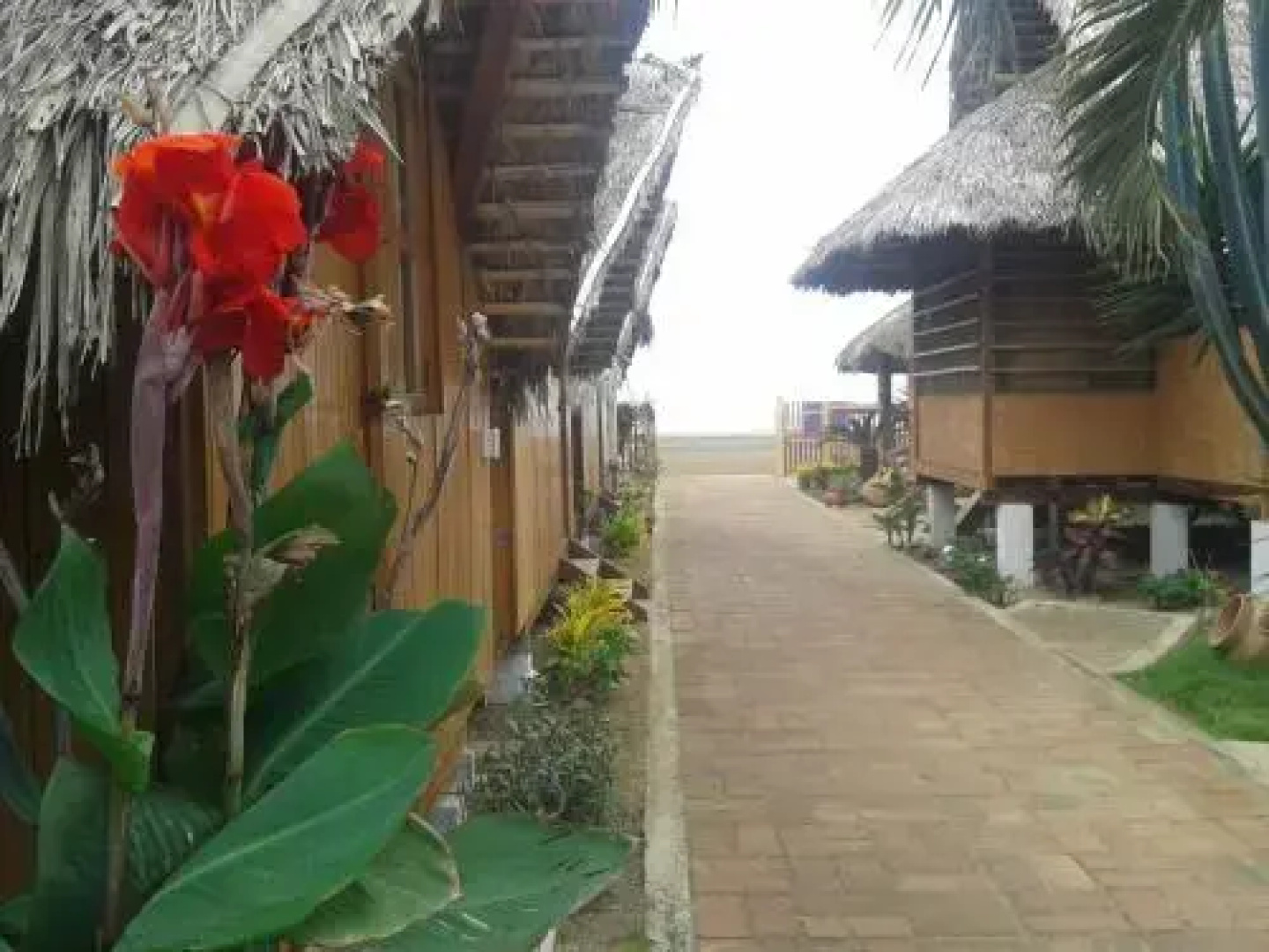 Cabañas Playa Sur