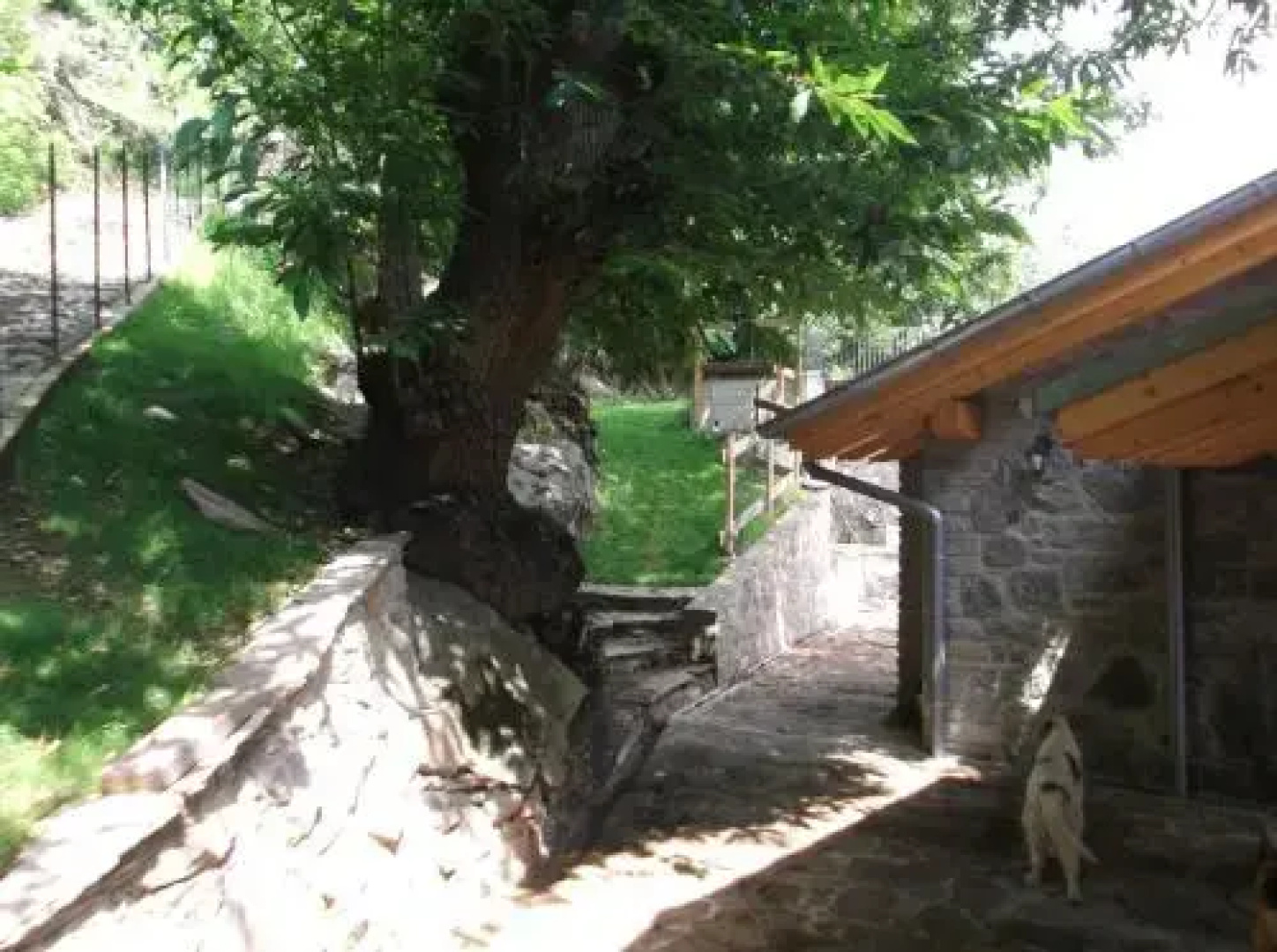 Agriturismo Ai Ronchi