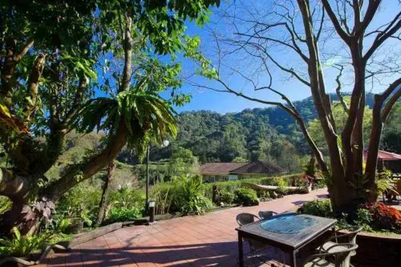 Green Shine Bed and Breakfast