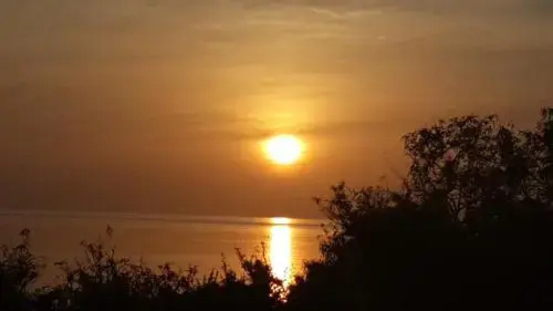 Maracaibo View