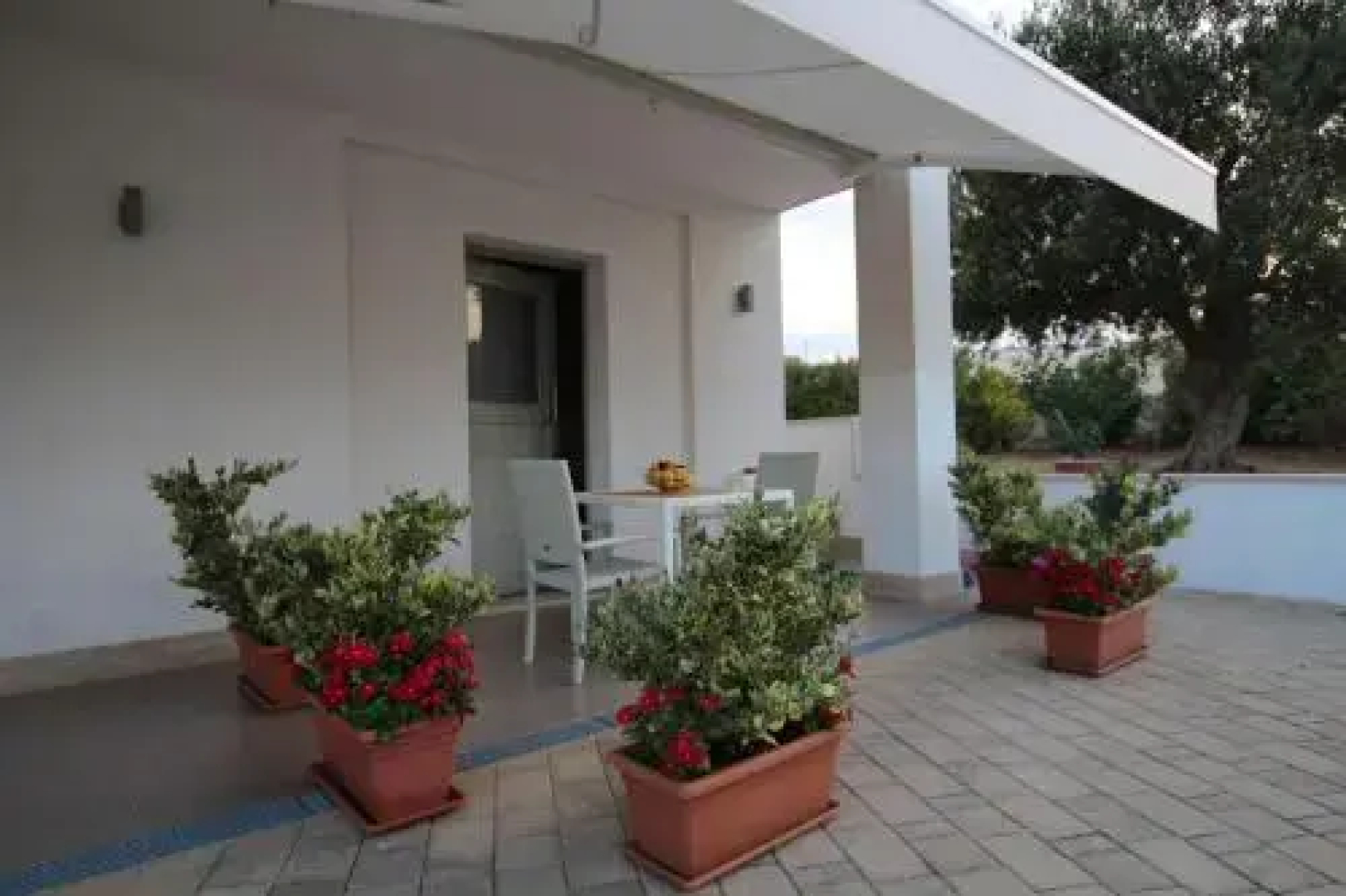 Apulia Bianca