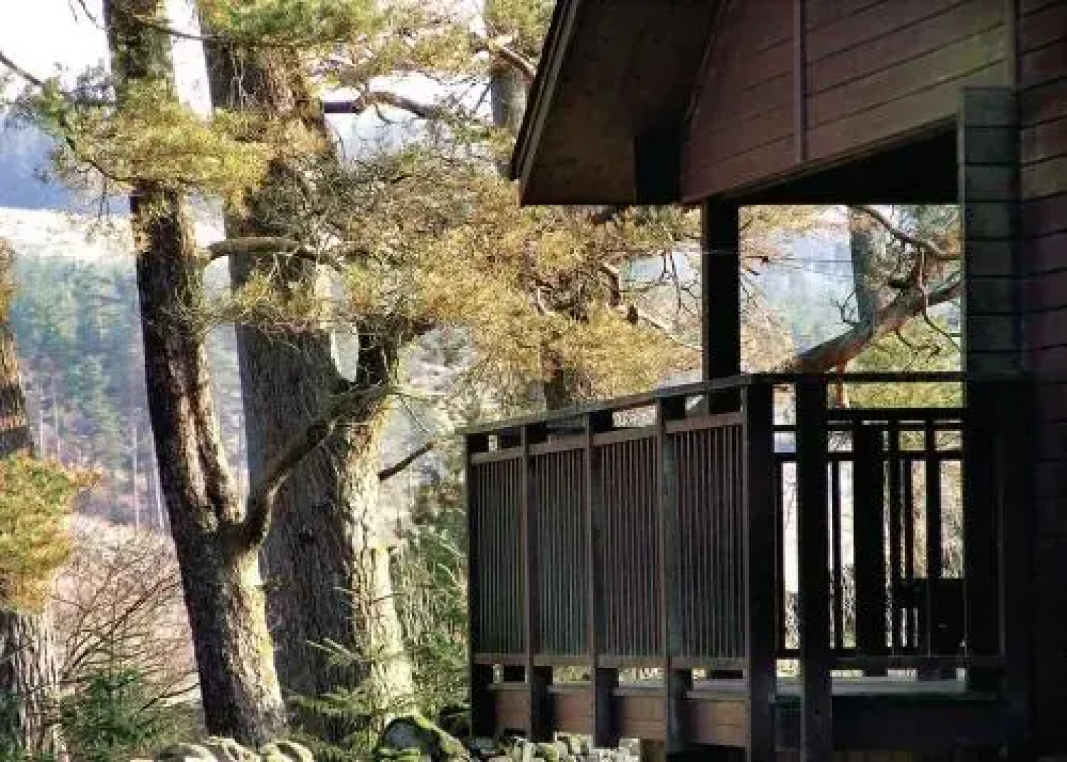 Calvert Trust Kielder