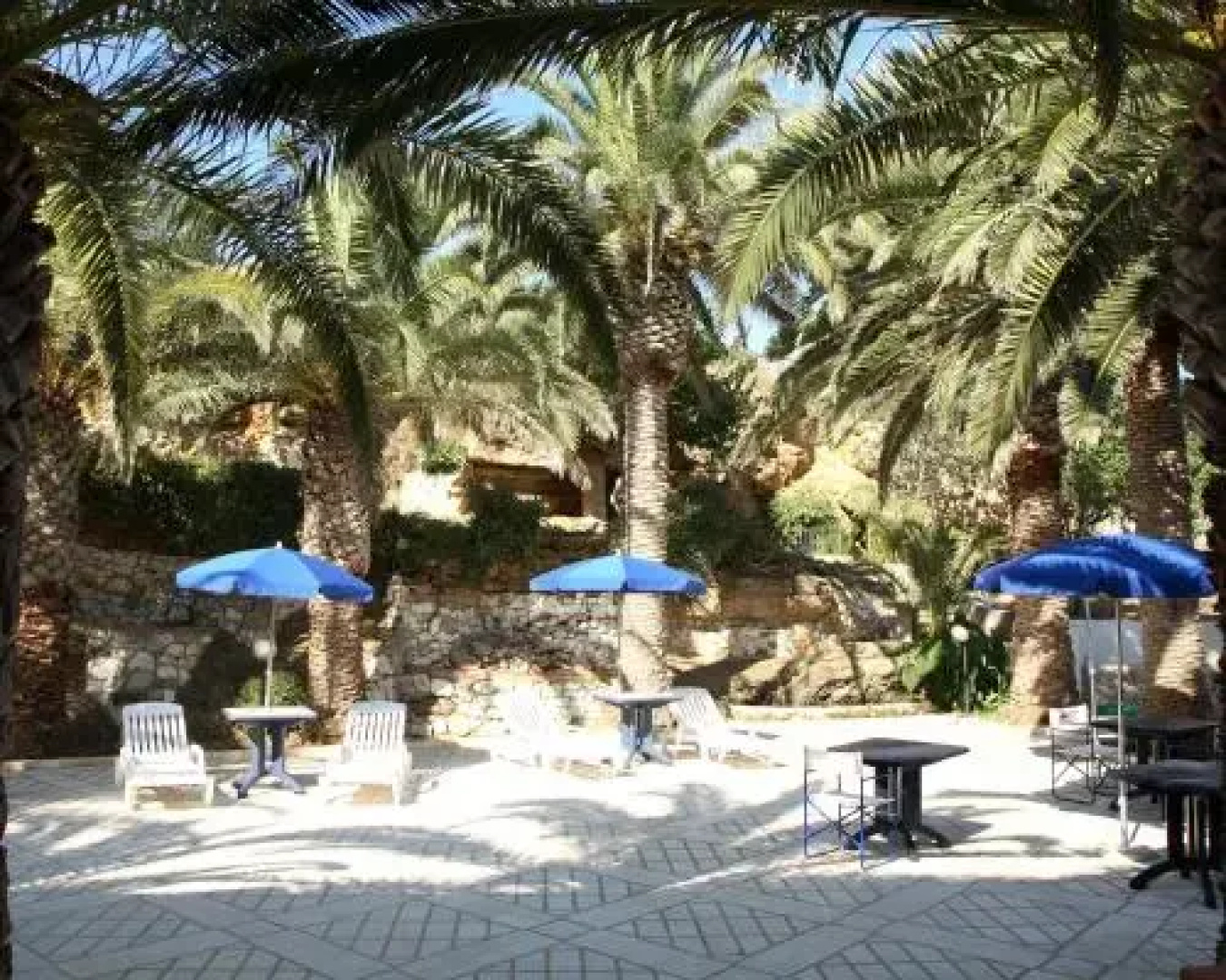 Le Palme Vacanze