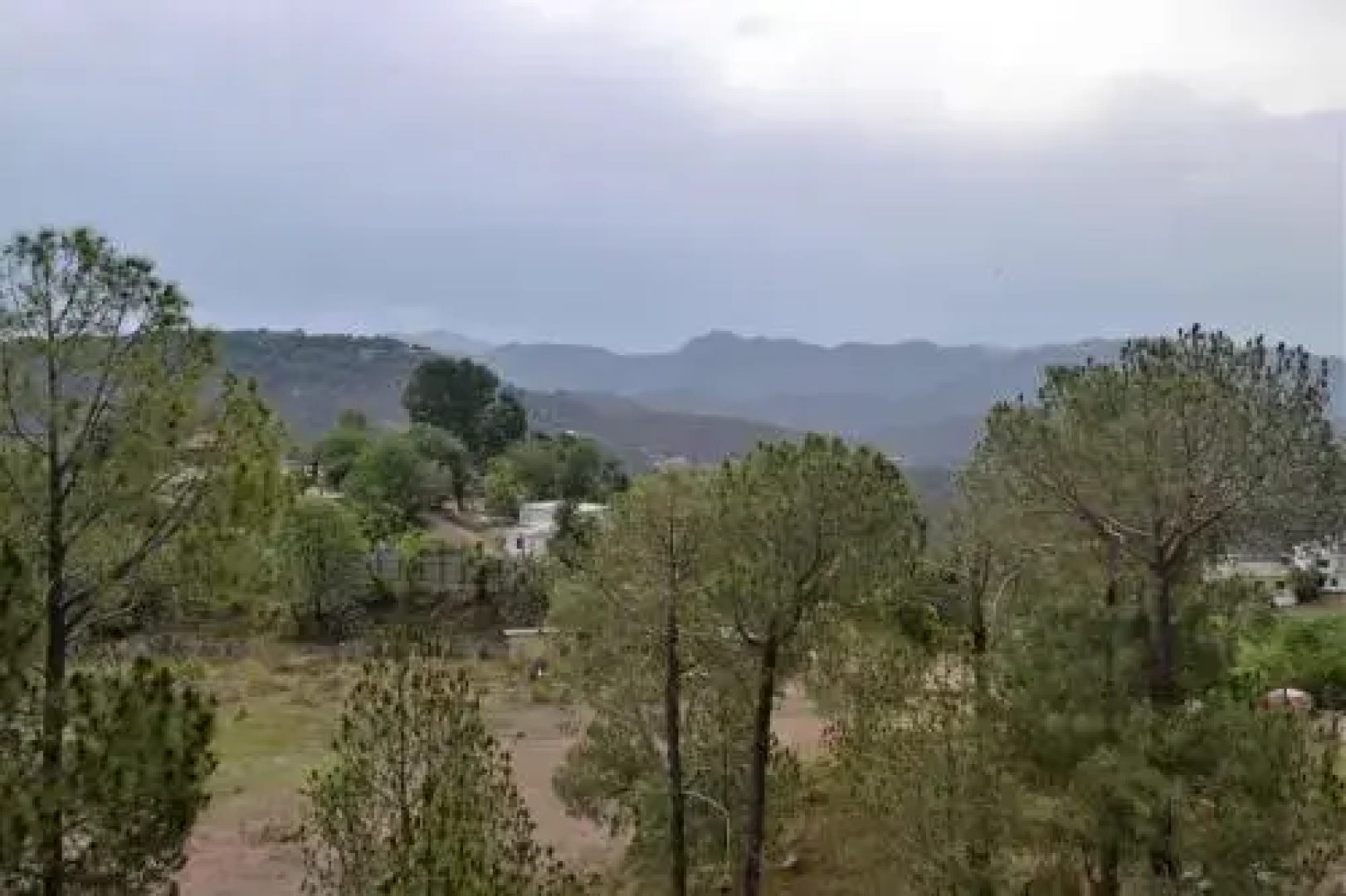Hotel Whitemushroom Kasauli