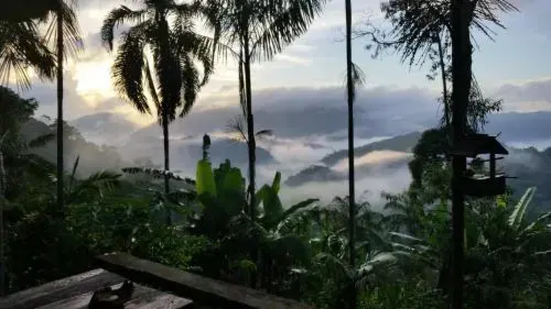 Hostel Radical Adventure