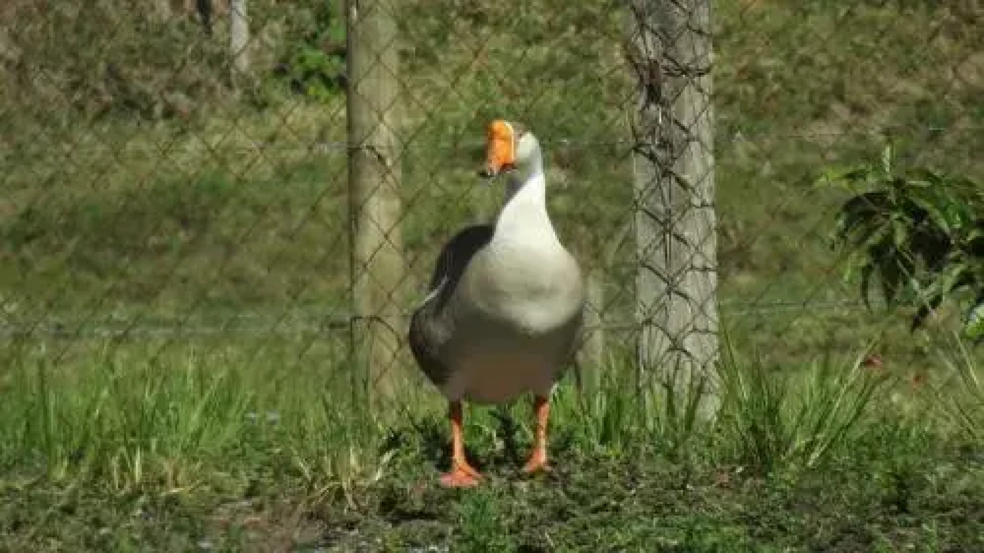 Hotel Fazenda Moinho Dagua