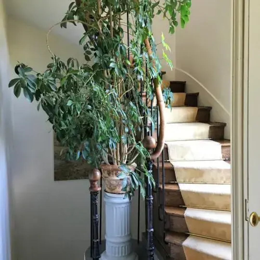 Gîte du Domaine de Bourville