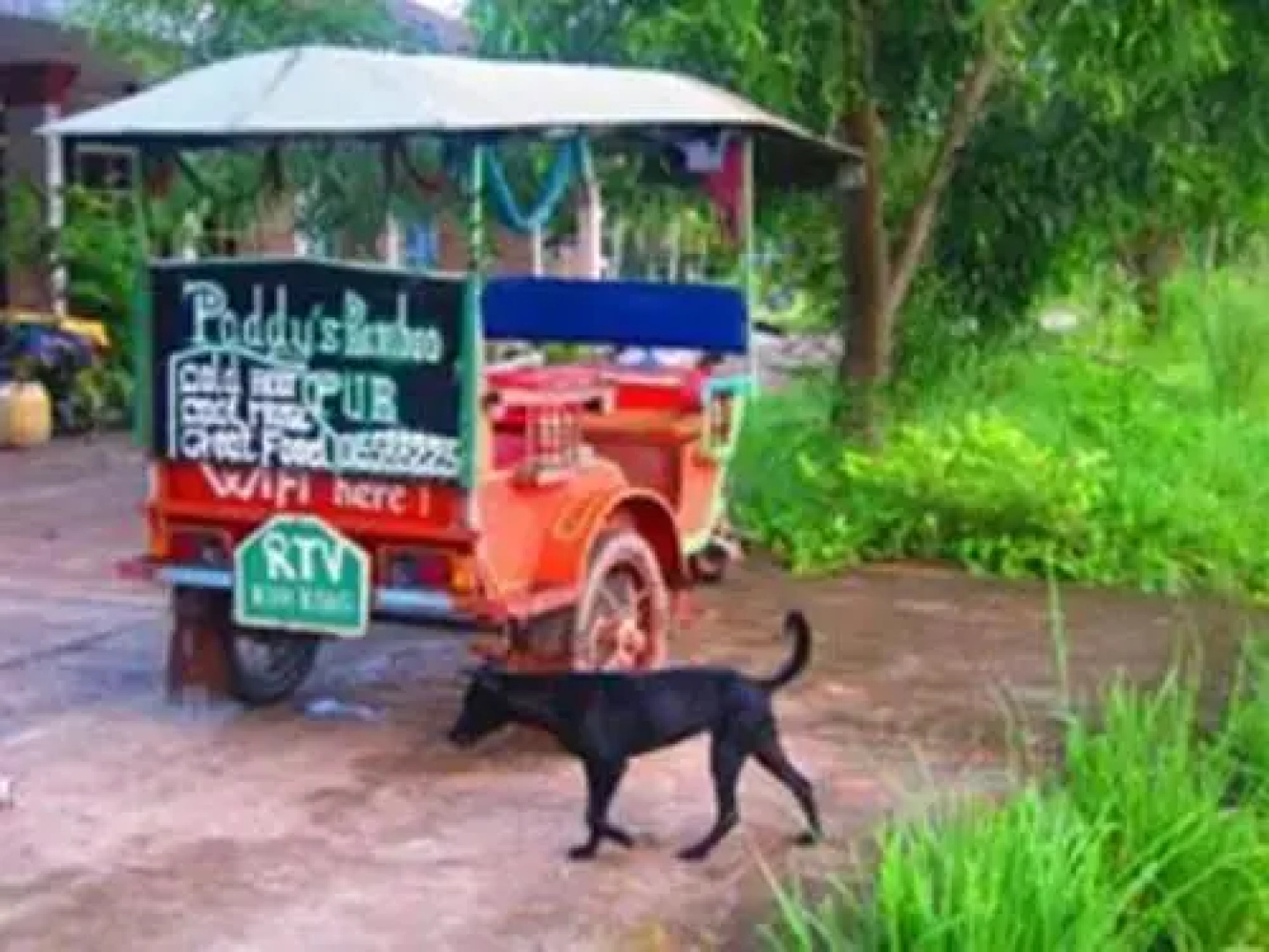 Paddy's Bamboo Guesthouse