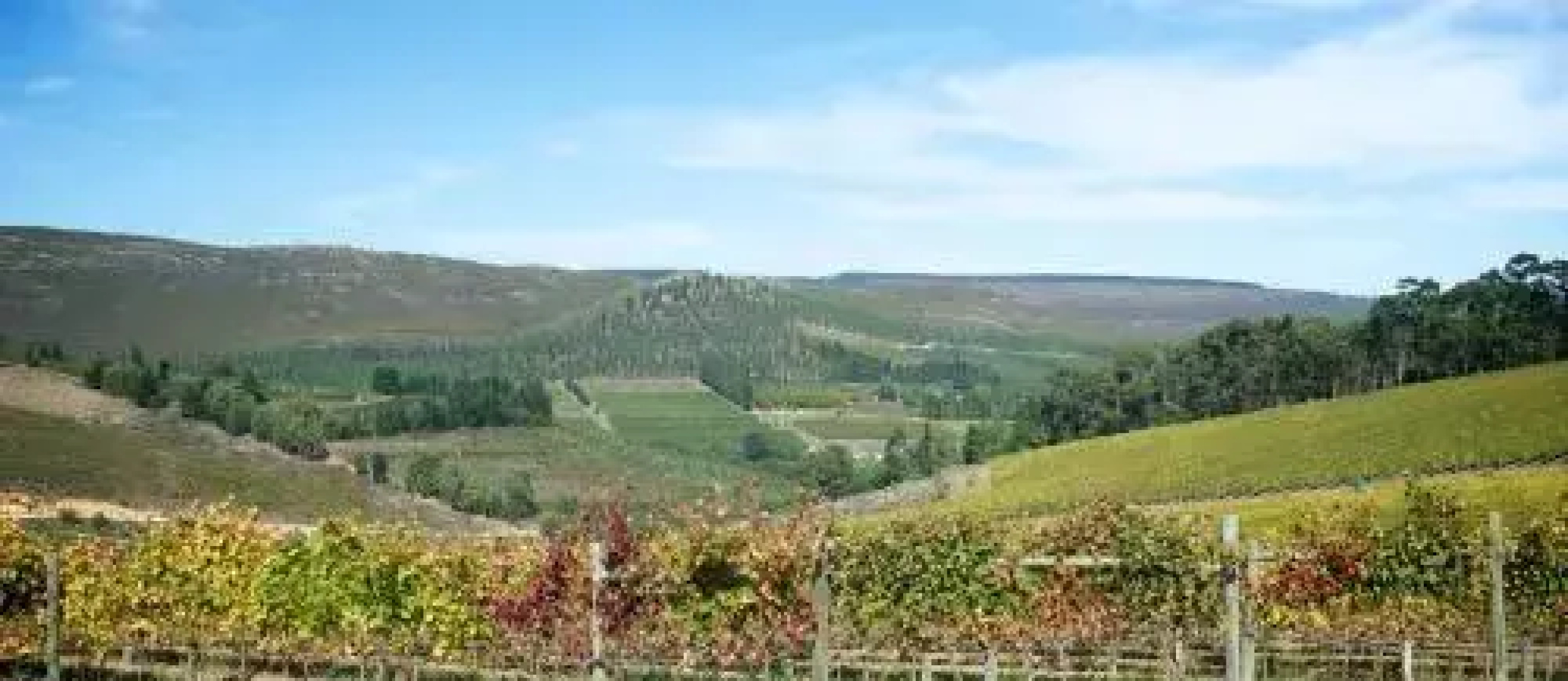 South Hill Guesthouse
