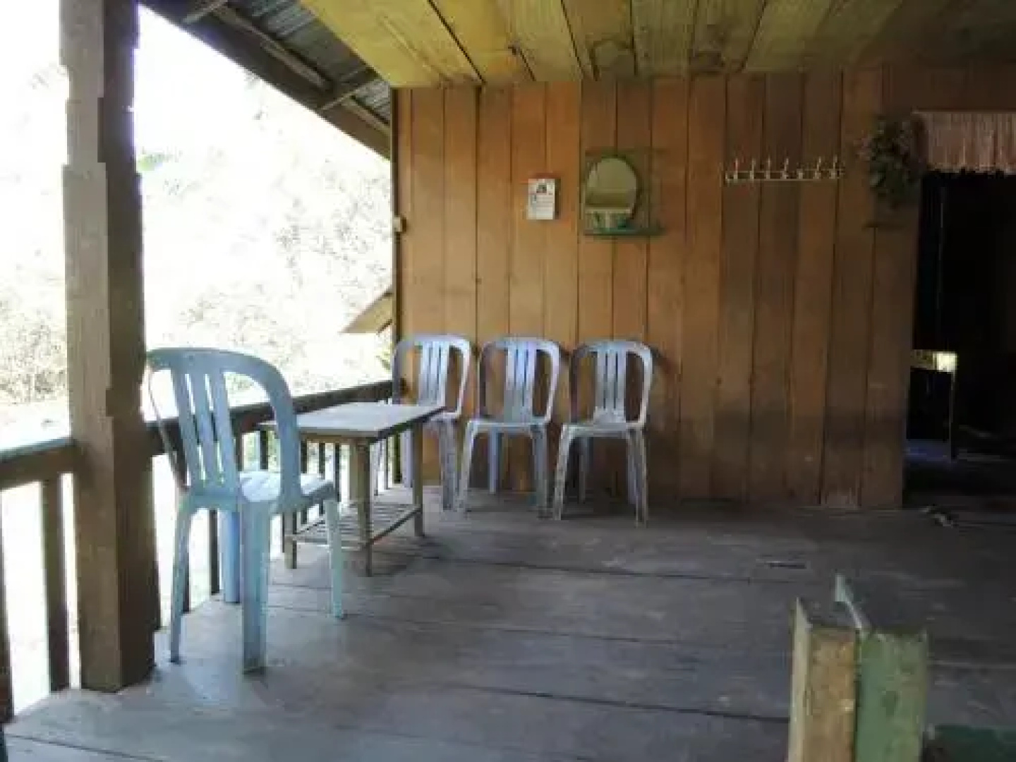 Laced Woodpecker Homestay