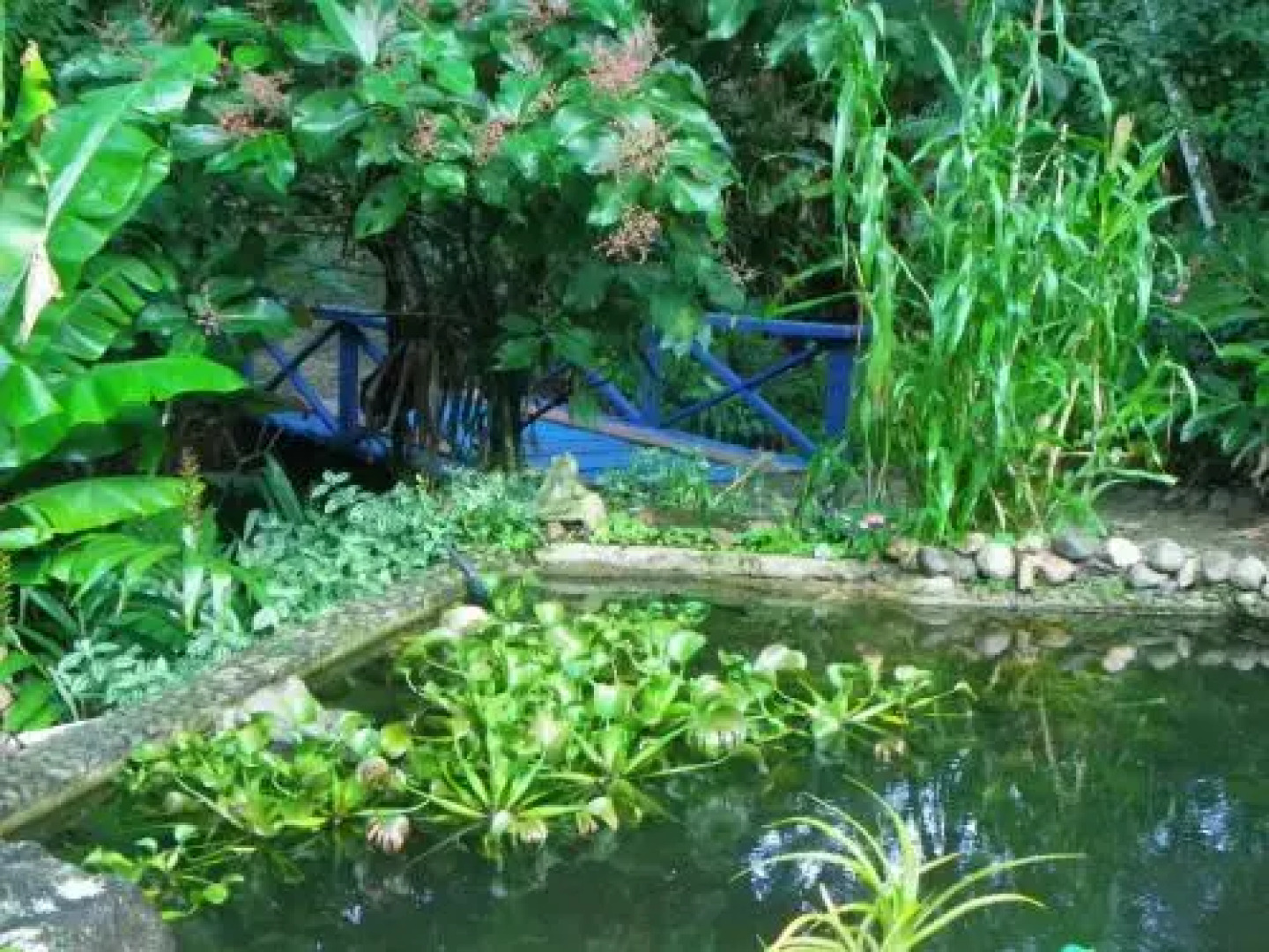 Bicho do Mato Suites