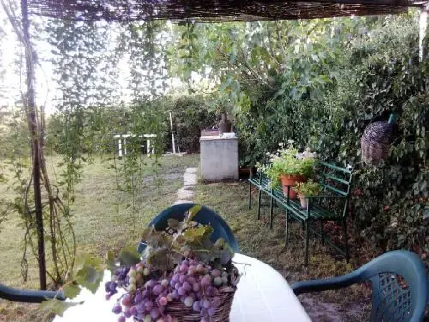 La Fragua