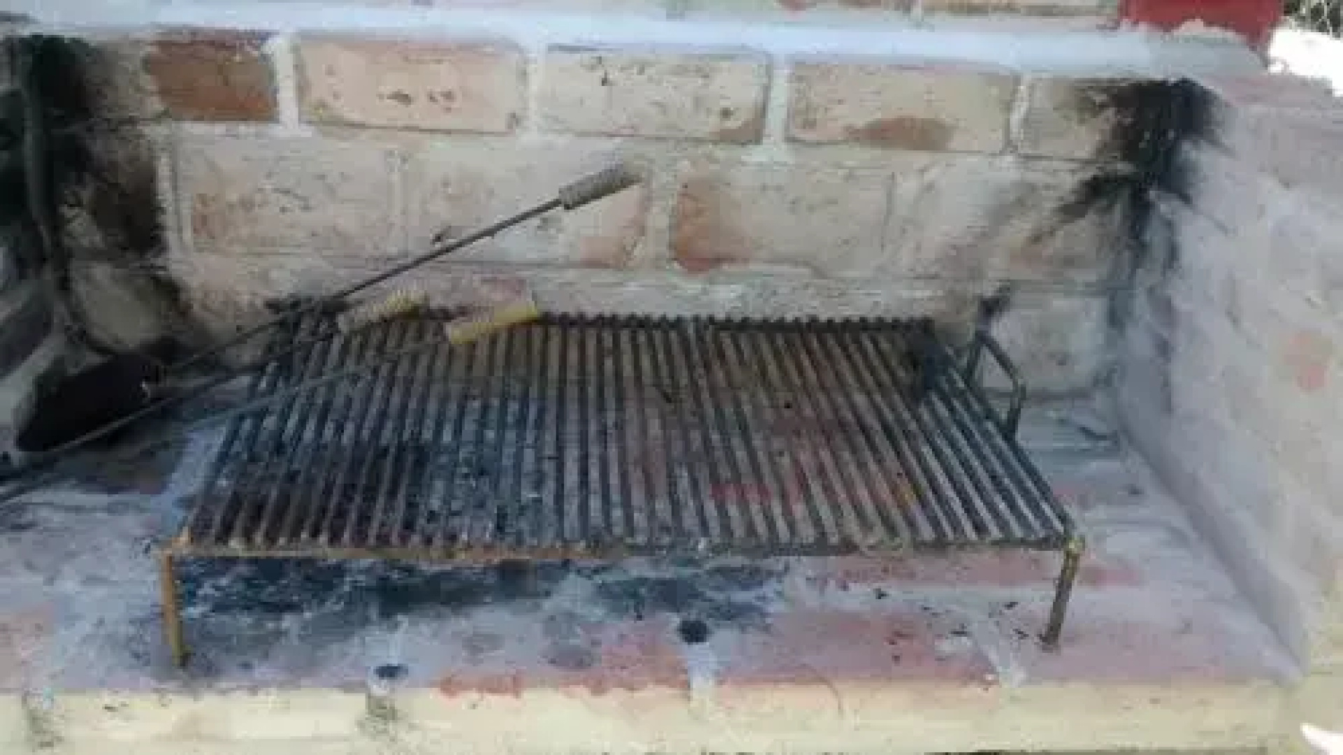 Los Abedules
