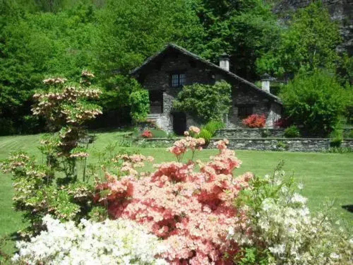 Chalet Le Primule