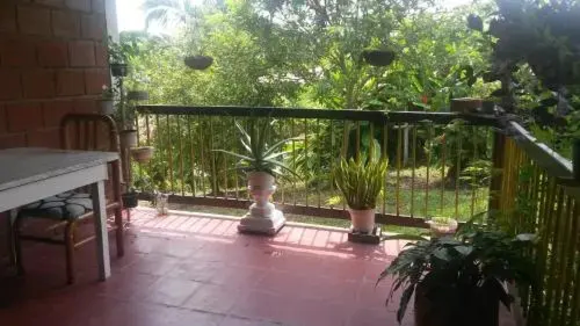 Finca Maranatha