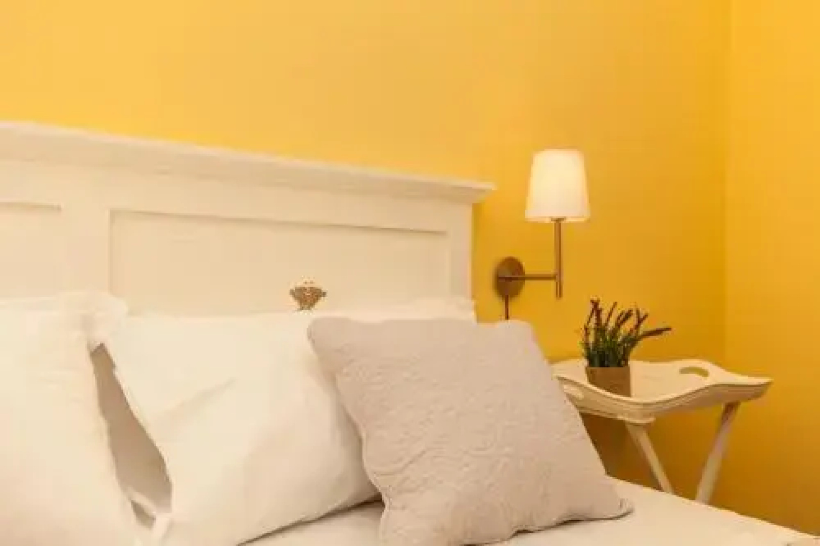 La Tuia E Il Tasso Bed  Breakfast