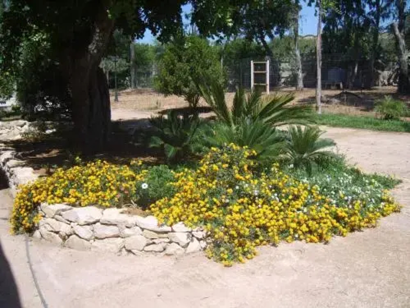 Tenuta Biddemi B & B