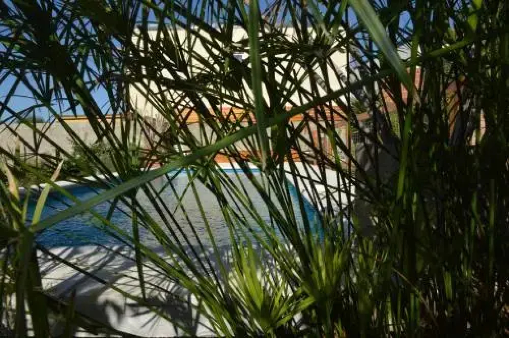 Casa Cora