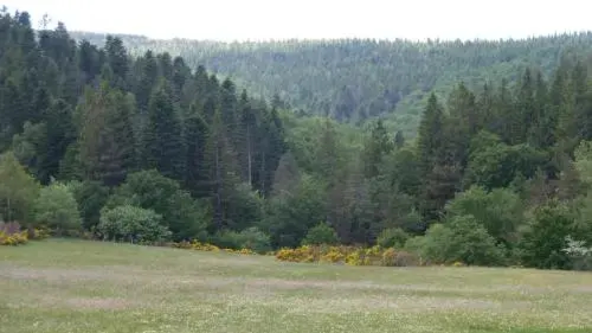 Gite de La Jasse