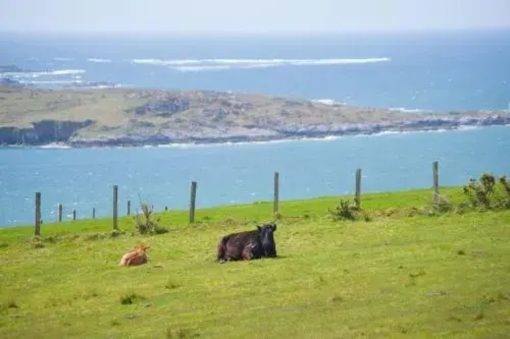Cottage 171 - Clifden