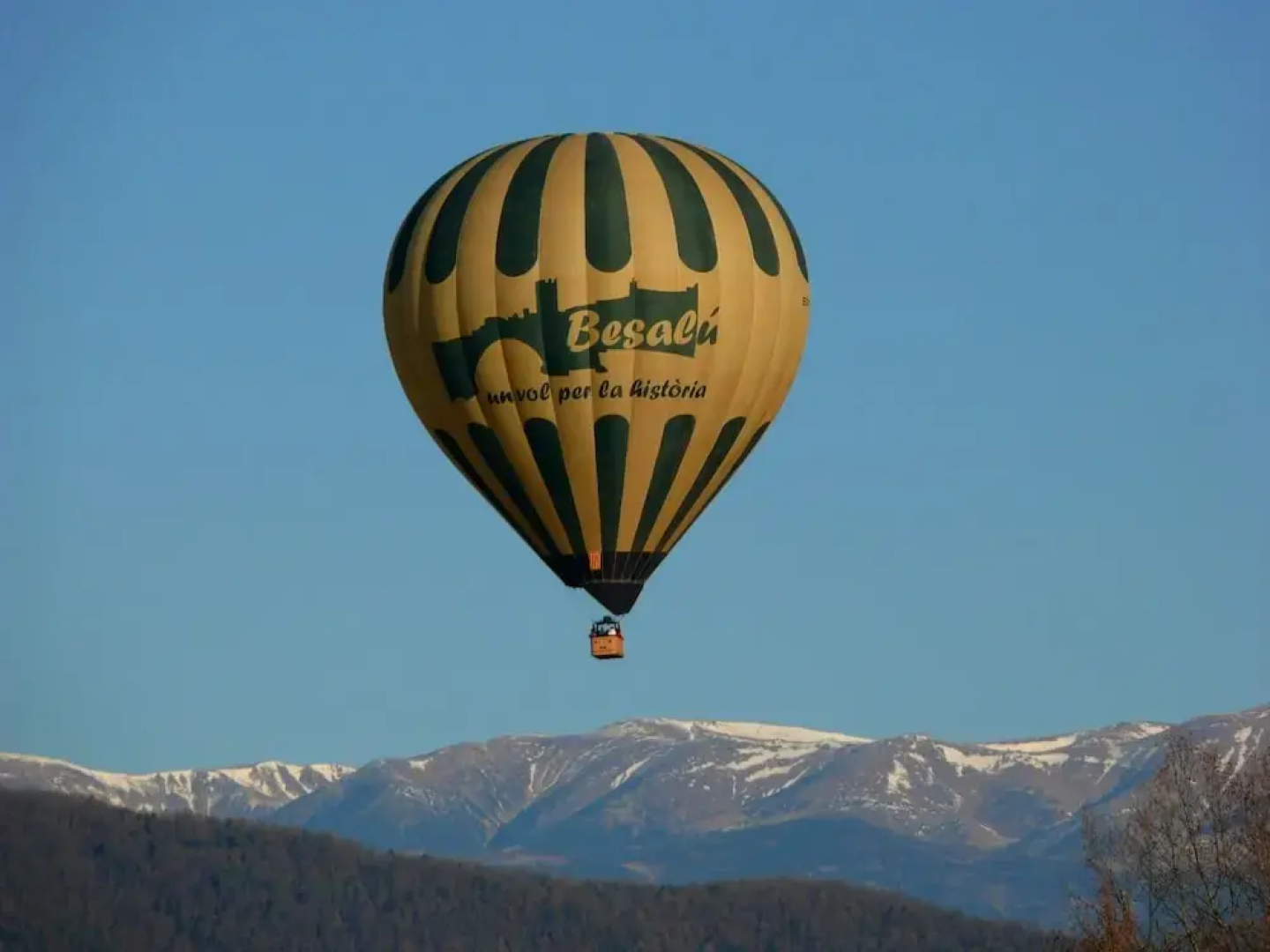 Mas Violella allotjament rural