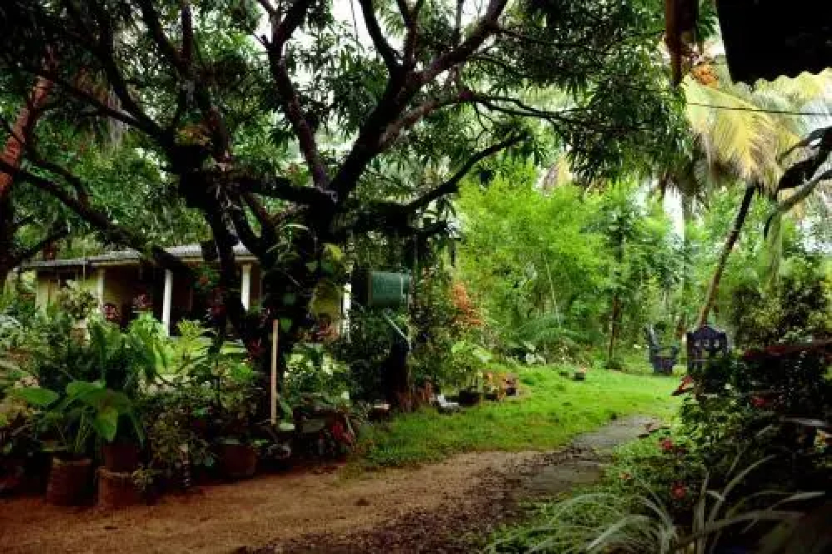 Sigiriya Green Garden Homestay