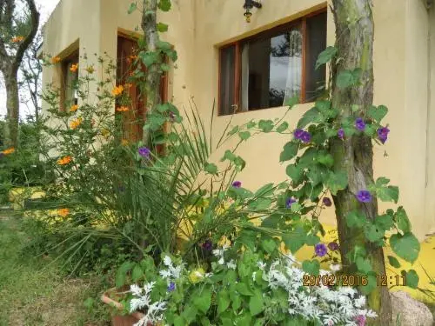 Cabañas Entre Verde