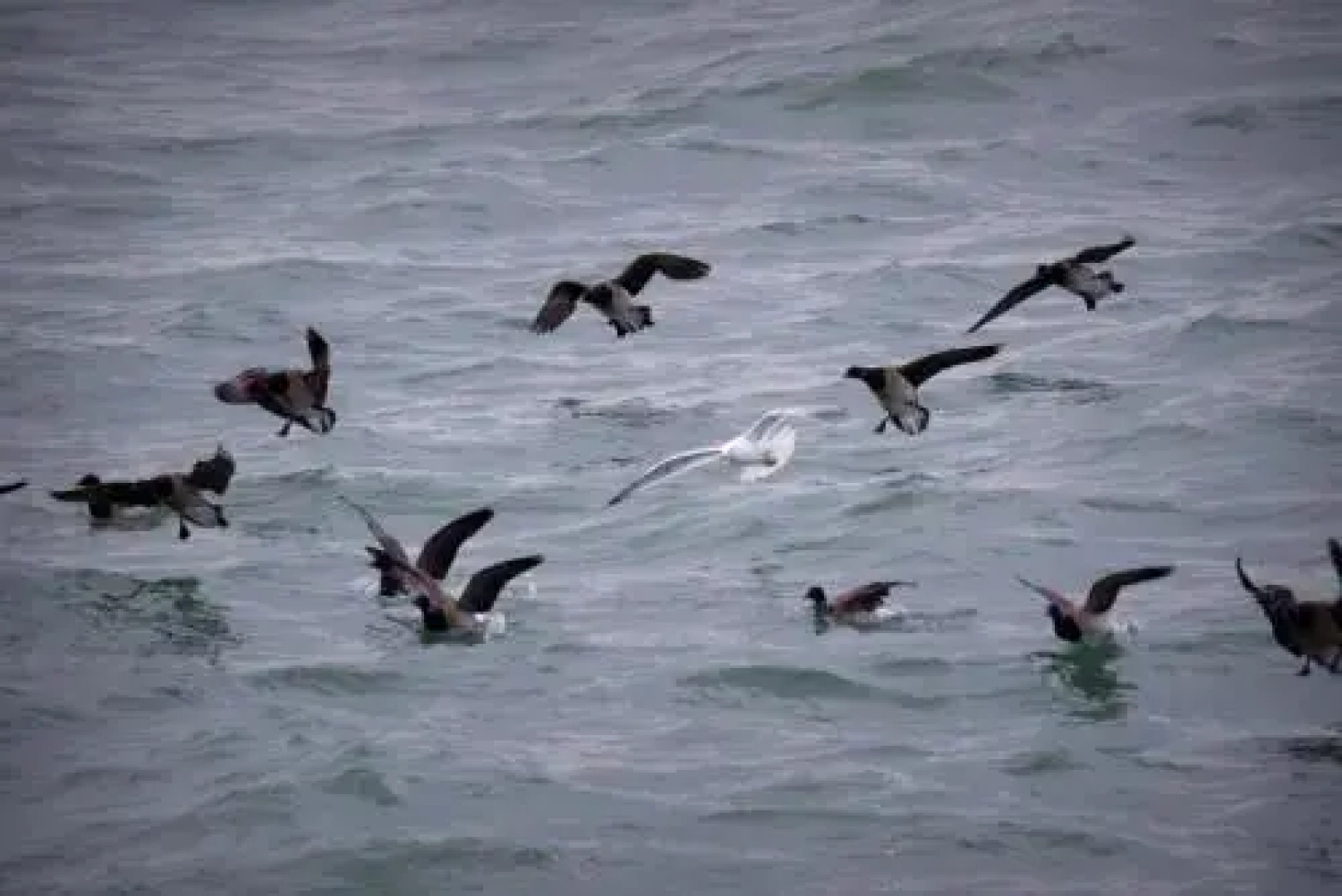 Chalet Le Refuge du Pêcheur