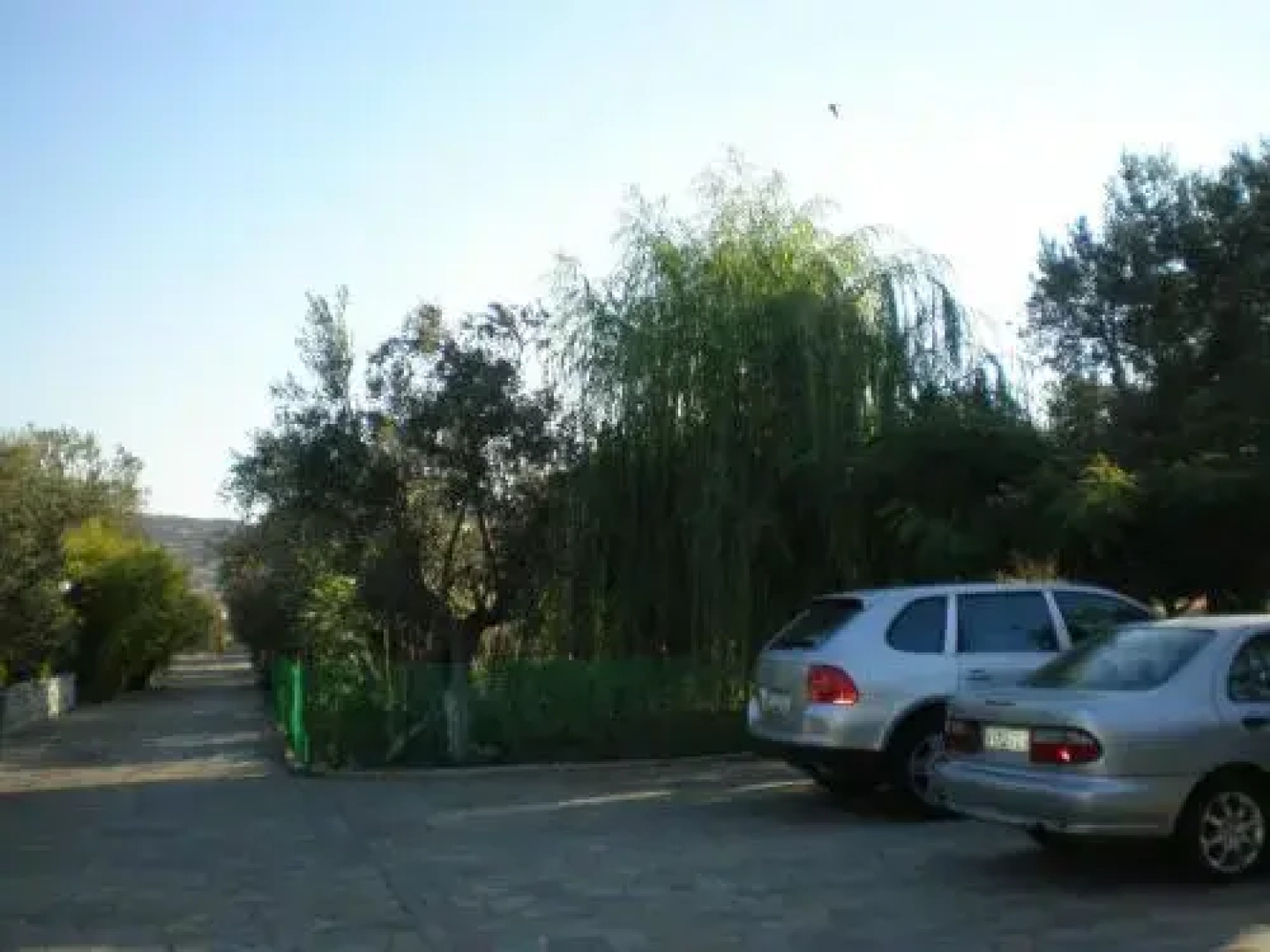 Vasiliki Studios