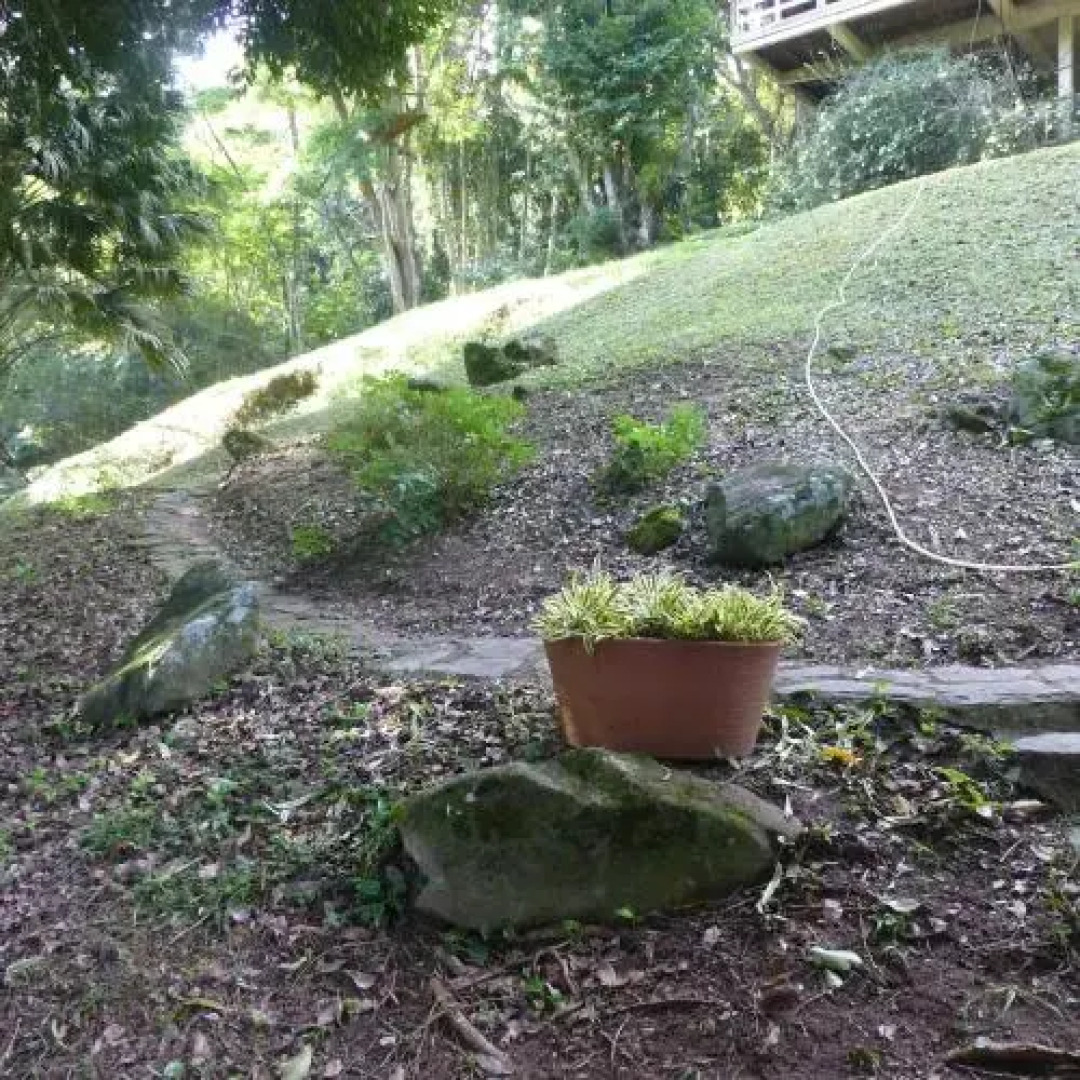 Spaço Livre Glamping