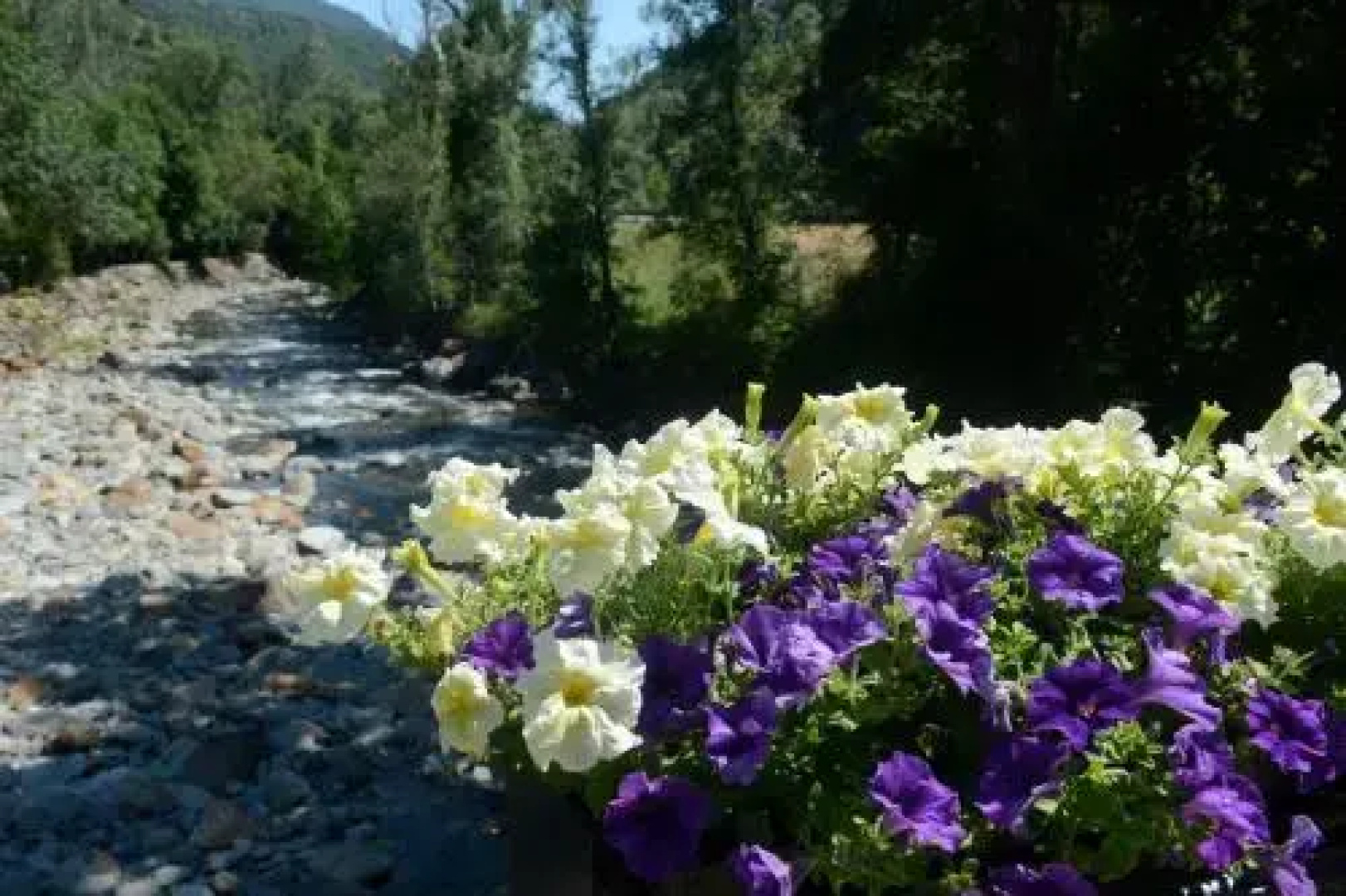 Camping Serra
