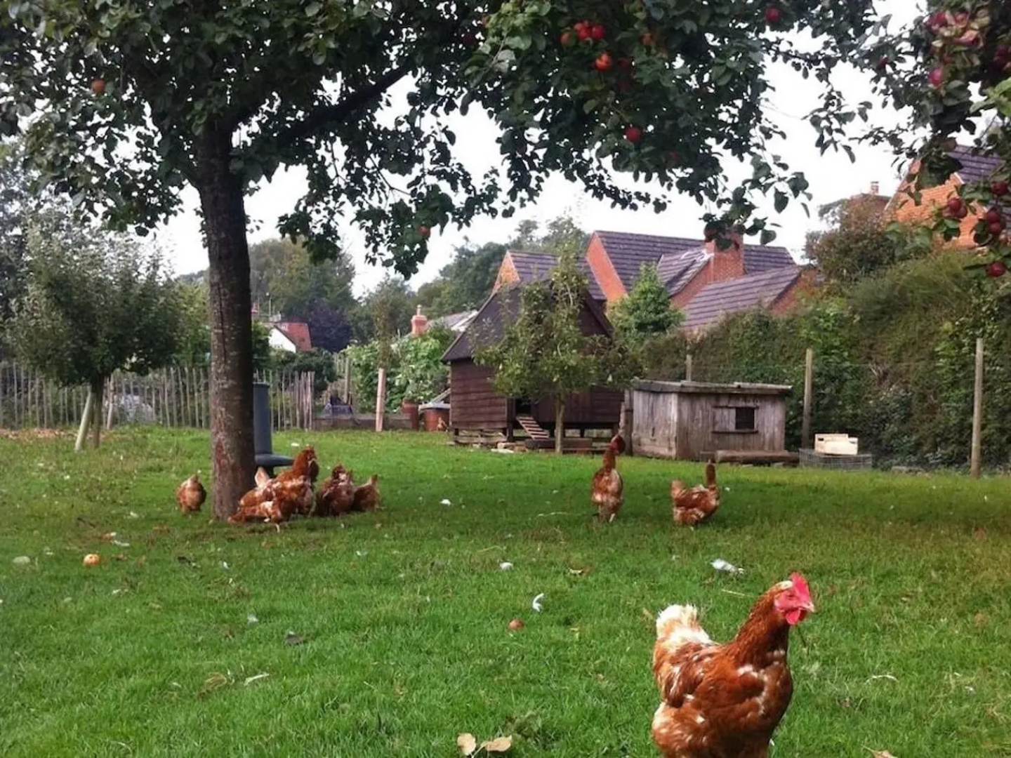 Cider Cottages