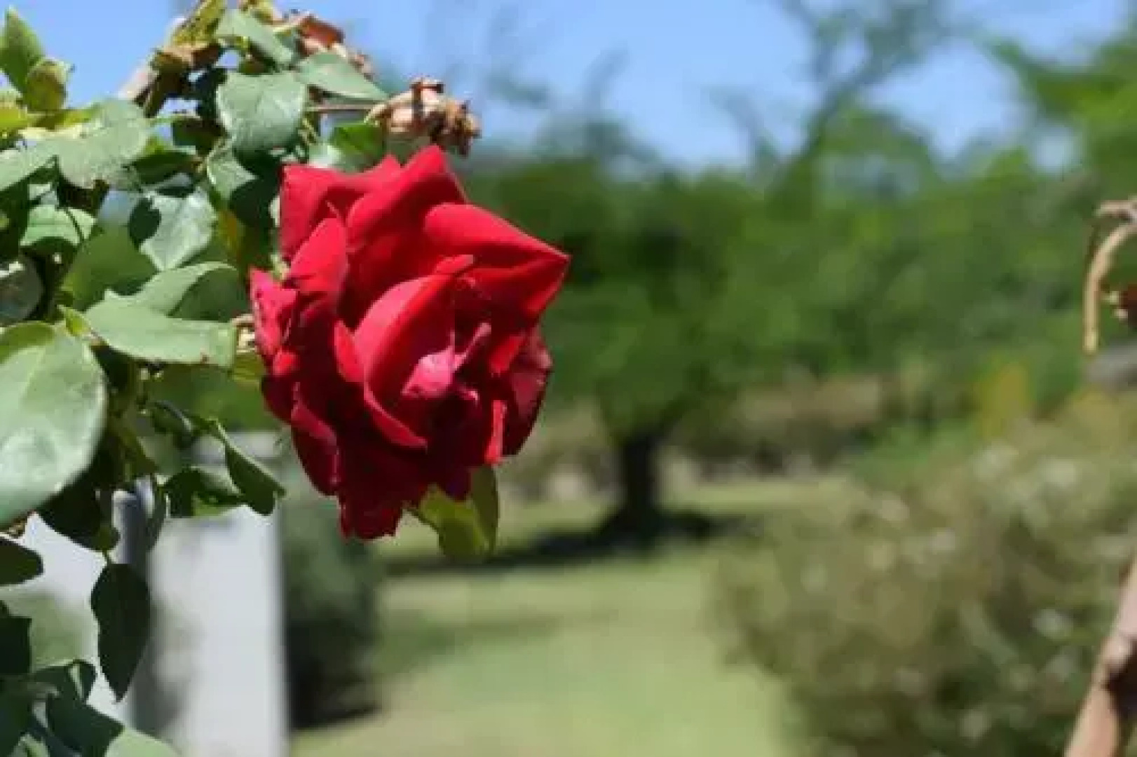 Cabañas Villa Titina