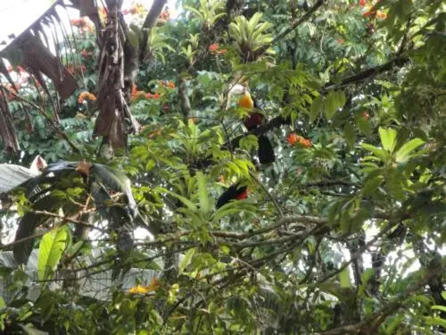 Pousada Arboretum