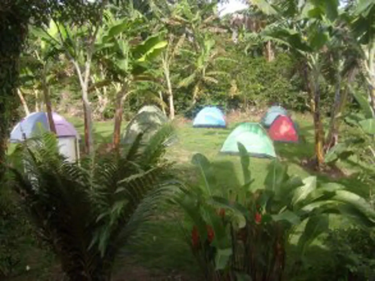 La Nohelia Camping